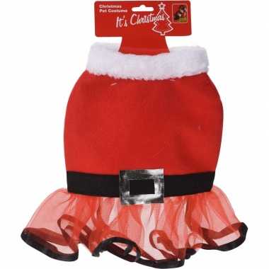 Sexy kerstjurkje de hond 30 cm